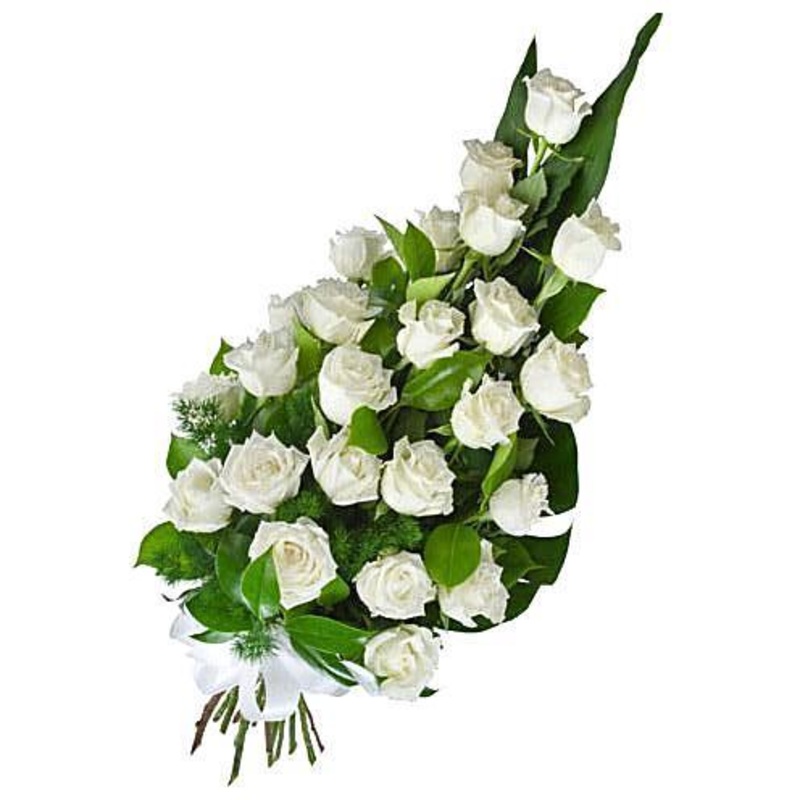 Classic White Roses Sheaf-Small (10 Steams) & Regular (20 Steams) & Large (30 steams) & Extra Large (40 Steams) & Extra Large (50 Steams)