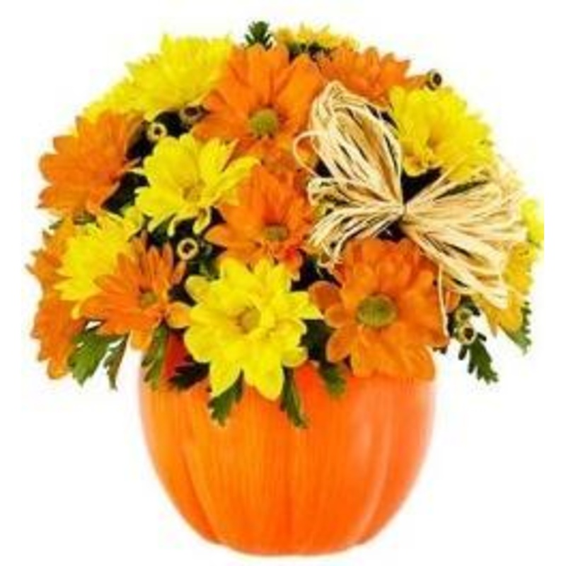 Daisy Chrysanthemum Halloween Pumpkin