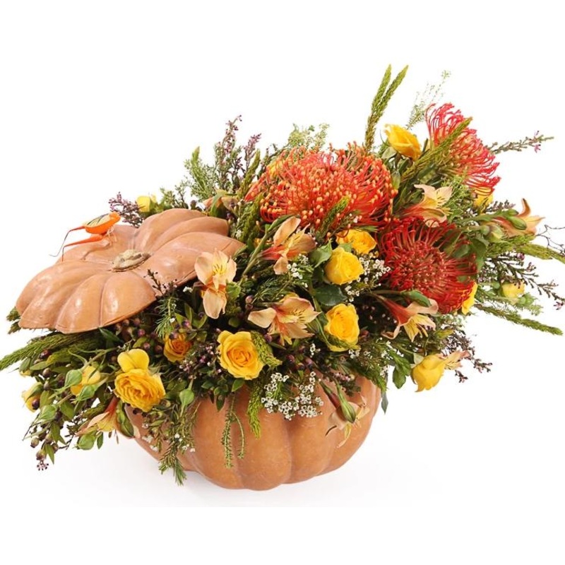 Exotic Pumpkin Arrangement