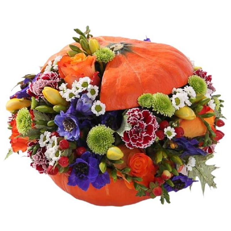 Gorgeous Pumpkin Party-Small (35 stems) & Regular (45 stems) & Large (55 stems)