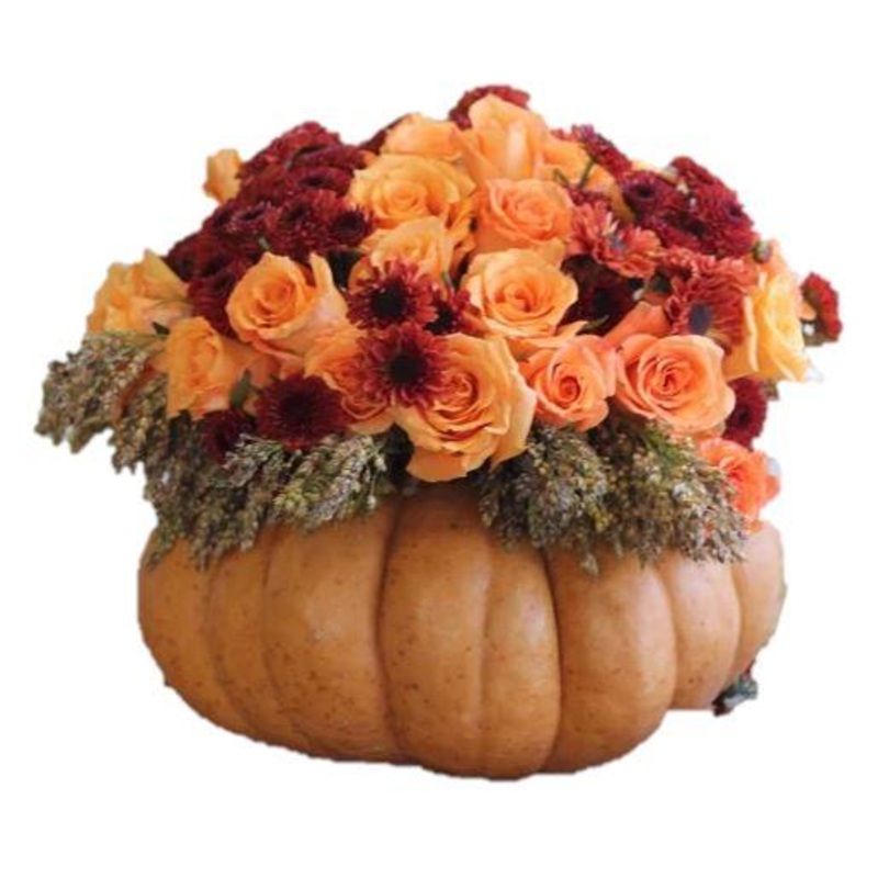 Halloween Roses Pumpkin