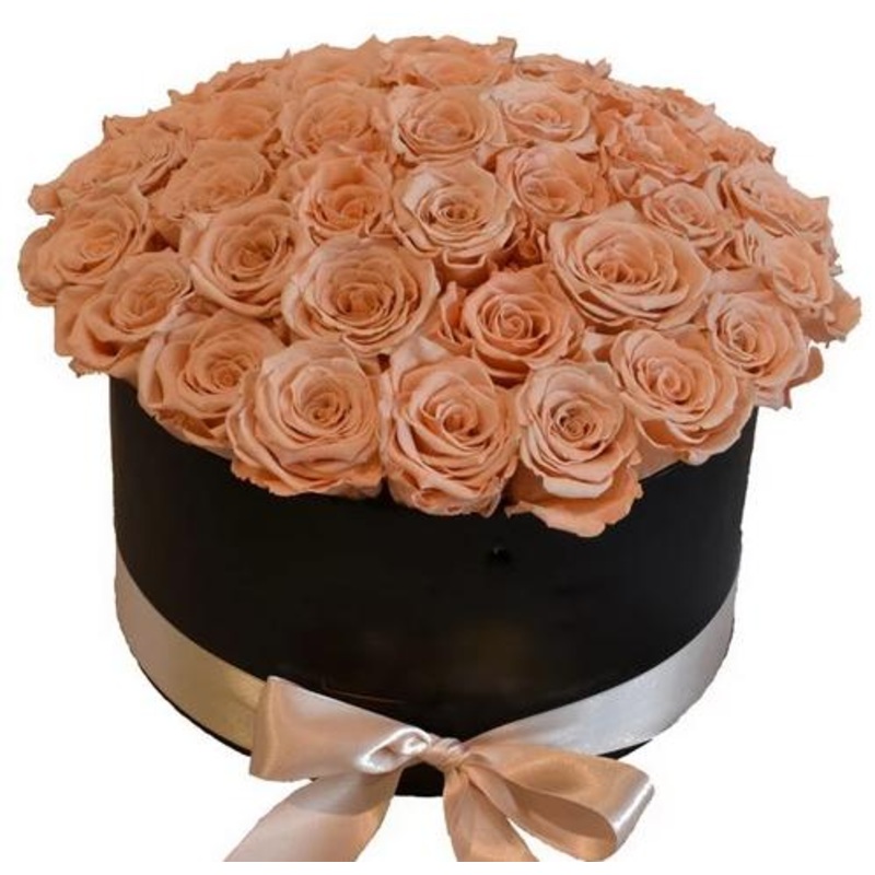 Luxury Cappuccino Roses Box-Small (10 stems) & Regular (20 stems) & Large (30 stems) & Extra Large (40  stems) & Luxury (50  stems) & Glamour (60  stems) & Exclusive Glamour (80 stems) & Premium (100 stems) & Premium Extra (120 stems) & Posh (150 stems)-H
