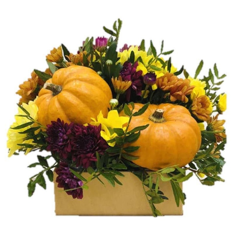 Mini Pumpkin Signature Box-Regular (10 stems) & Large (15 stems) & Luxury (20 stems) & Medium (30 stems) & Glamour (35 stems) & Exclusive Glamour (40 stems) & Premium (50 stems) & Premium Extra (60 stems) & Posh (80 stems)-Square Box & Hat Box-Kraft Box &