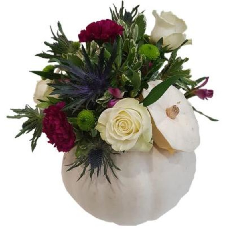 Mini White Pumpkin Arrangement