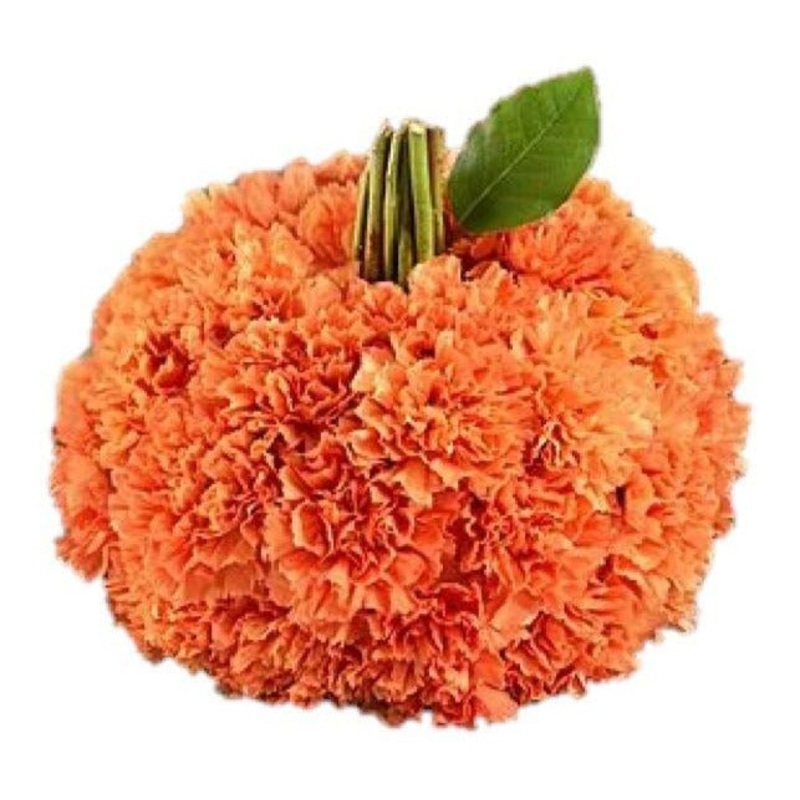 Orange Carnations Pumpkin