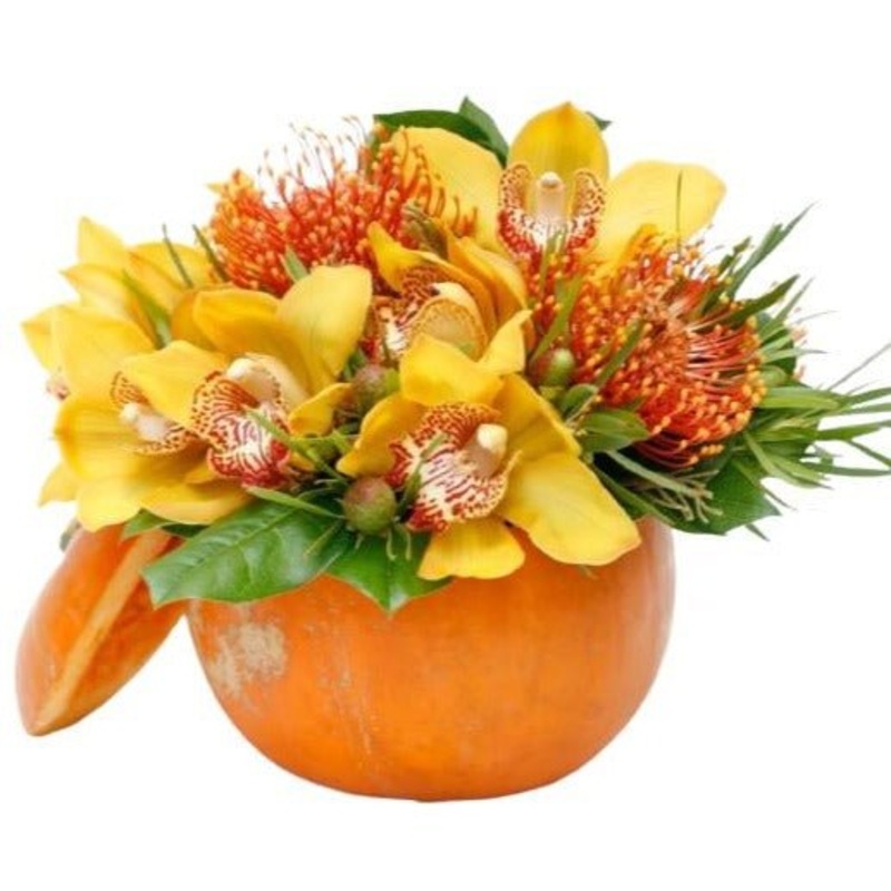 Orchids Pumpkin Arrangement