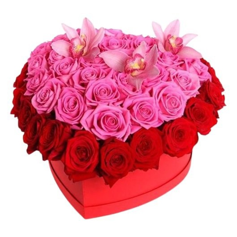 Pink Birds Box-Extra Small (20 stems) & Small (30 stems) & Regular (40 stems) & Medium (50 stems) & Large (60 stems) & Extra Large (80 stems) & Luxury (100 stems) & Glamour (120 stems) & Exclusive Glamour (140 stems) & Premium (160 stems) & Premium Extra