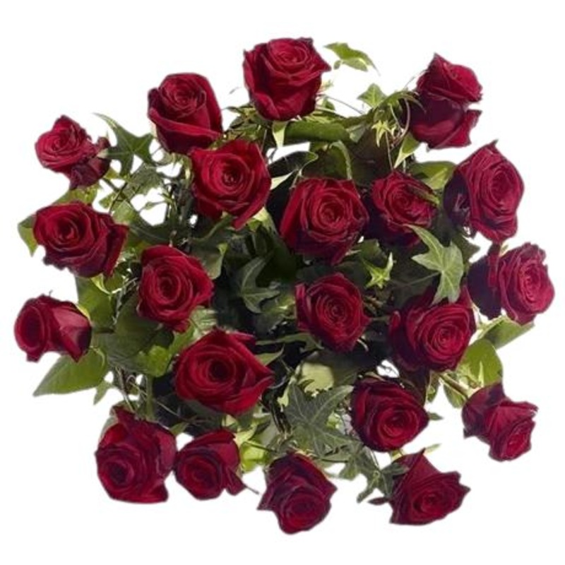 Premium Red Roses with English Ivy Bouquet