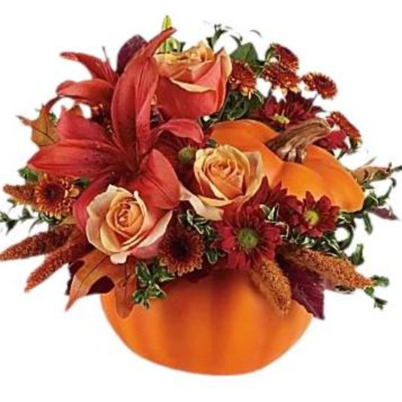 Pretty Pumpkin Petals