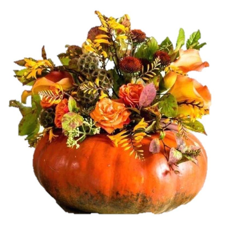 Pumpkin Garden Arrangement