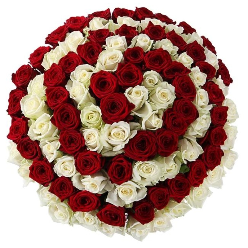 Red and White Spiral Bouquet-40 stems & 46 stems & 50 stems & 55 stems & 60 stems & 65 stems & 70 stems & 75 stems & 80 stems & 85 stems & 90 stems & 95 stems & 100 stems & 120 stems