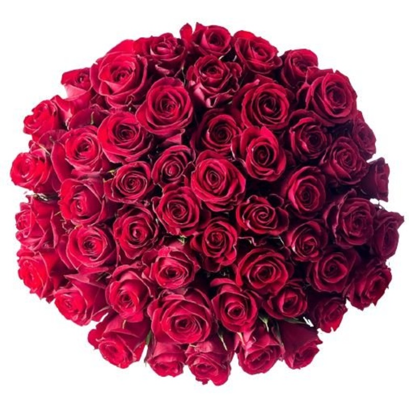 Rhodos Roses Bouquet-10 stems & 12 stems & 15 stems & 20 stems & 24 stems & 30 stems & 36 stems & 40 stems & 48 stems & 50 stems & 55 stems & 60 stems & 65 stems & 70 stems & 75 stems & 80 stems & 85 stems & 90 stems & 95 stems & 100 stems & 120 stems & 1