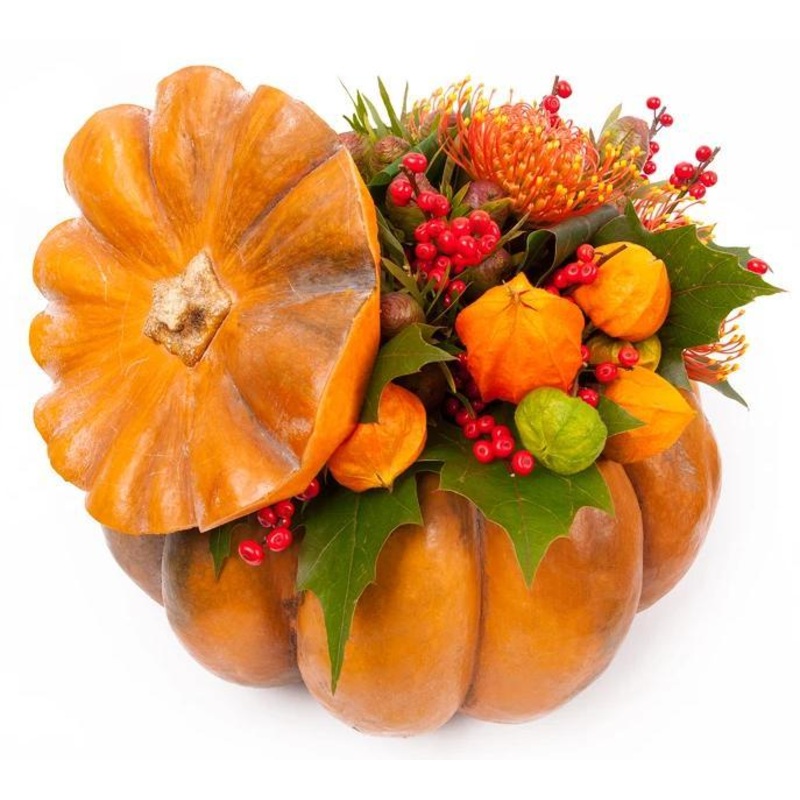 Spice Halloween Pumpkin