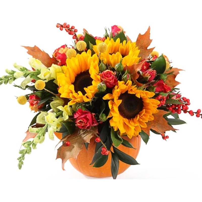 Sunflowers in Pumpkin