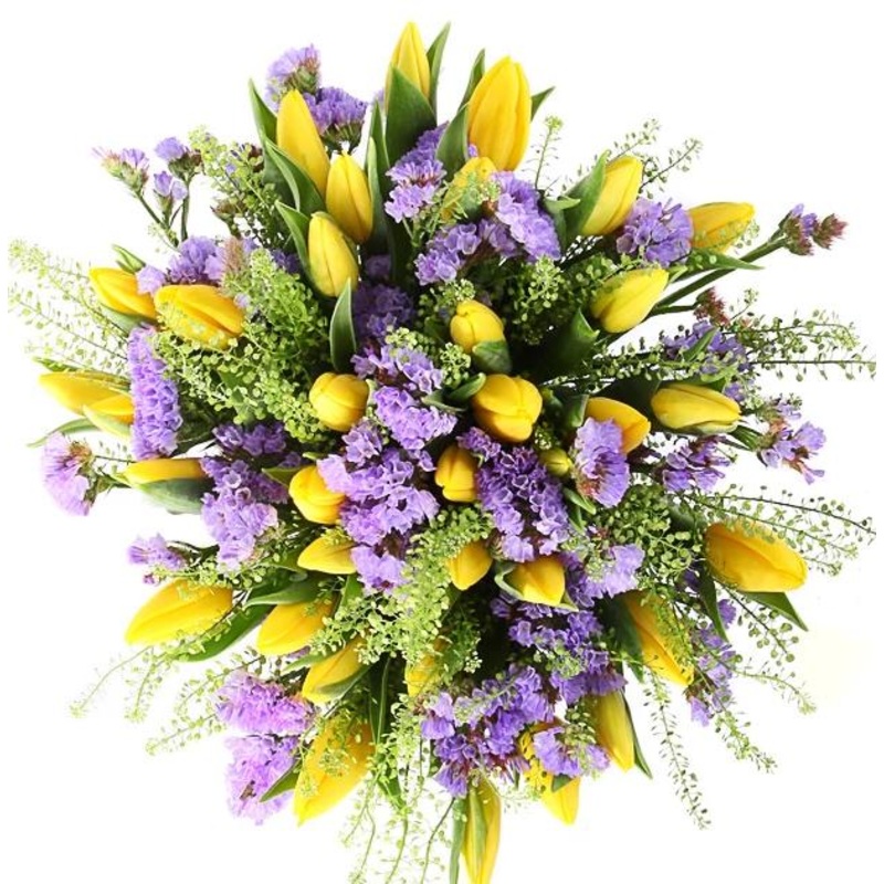 Tulips In Purple Bouquet-Small (15 stems) & Regular (20 stems) & Medium (25 stems) & Large (30 stems) & Extra Large (35 stems) & Luxury (40 stems) & Glamour (50 stems) & Exclusive Glamour (65 stems) & Premium (80 stems) & Deluxe (100 stems) & Deluxe Extra