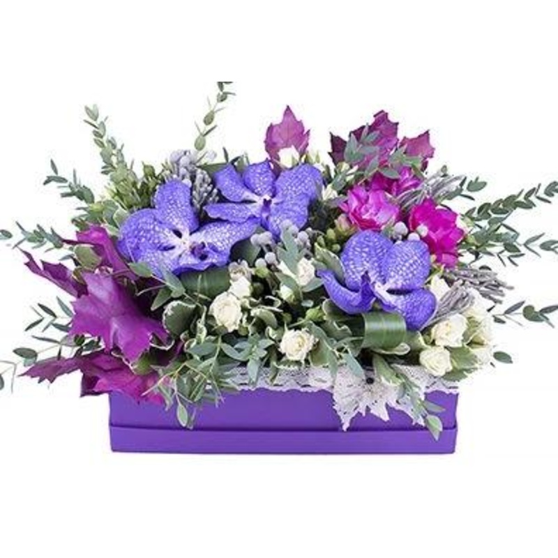 Vanda Orchids Luxury Box-Regular (15 stems) & Large (20 stems) & Luxury (30 stems) & Glamour (40 stems) & Exclusive Glamour (50 stems) & Premium (65 stems) & Posh (80 stems)-Square Box & Hat Box & Heart Box-PURPLE BOX & WHITE BOX & BLACK BOX & GRAY BOX