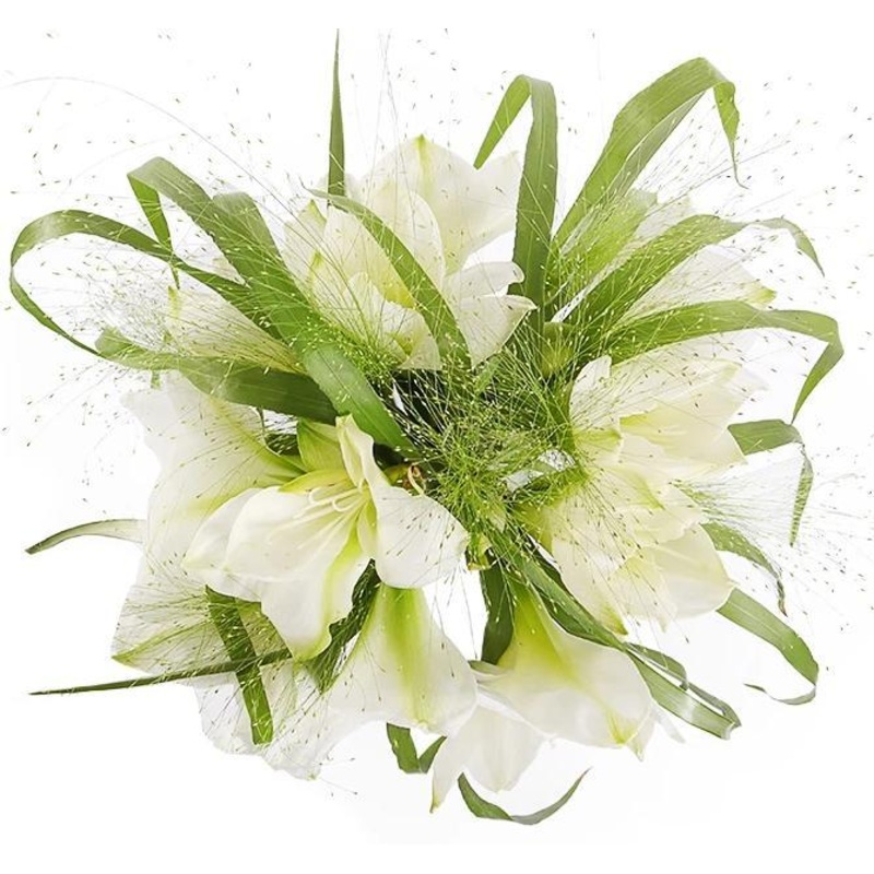 White Amaryllis in Grass Bouquet