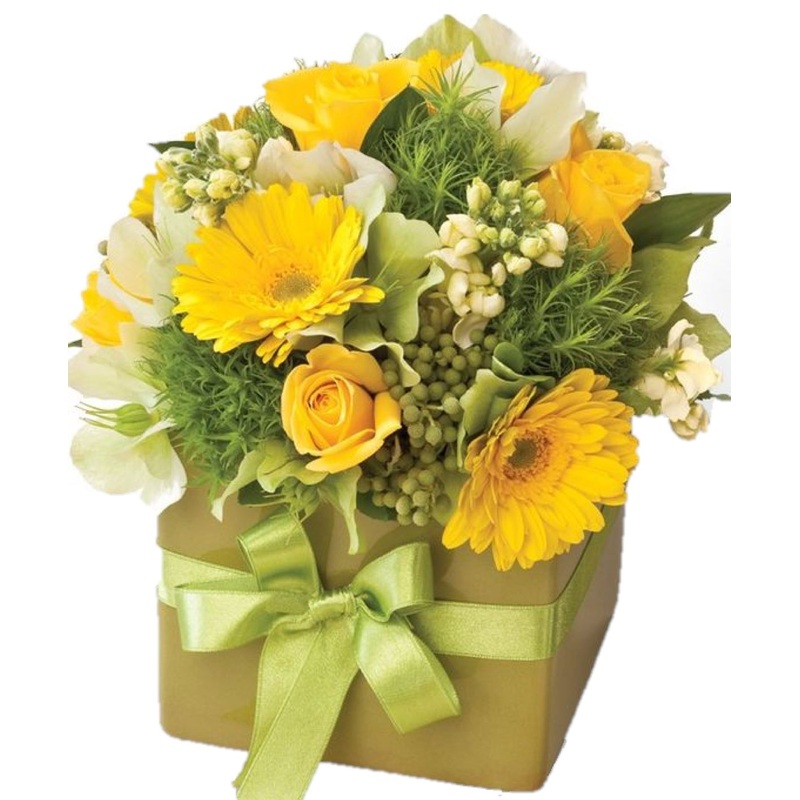 Citrus Twist Elegant Box-Small (20 stems) & Regular (30 stems) & Large (45 stems) & Luxury (60 stems) & Glamour (80 stems) & Exclusive Glamour (100 stems)-Square Box & Hat Box & Heart Box-KRAFT BOX & CREAM BOX & BLACK BOX & GREEN BOX