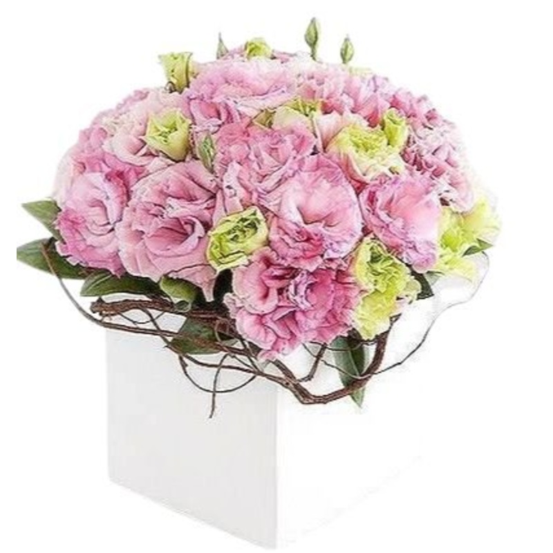 Pink Princes Lisanthus Elegant Box