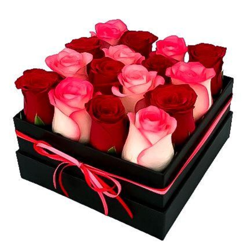 Red & Blush Roses Box-Medium (9 stems) & Regular (16 stems) & Large (25 stems) & Extra Large (36 stems) & Luxury (49 stems) & Glamour (64 stems) & Exclusive Glamour (81 stems) & Premium (100 stems)-Square Box & Hat Box & Heart Box-BLACK BOX & CREAM BOX