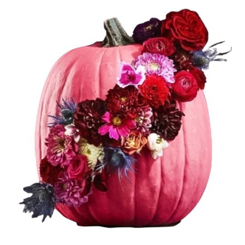 Beautiful Pink Pumpkin