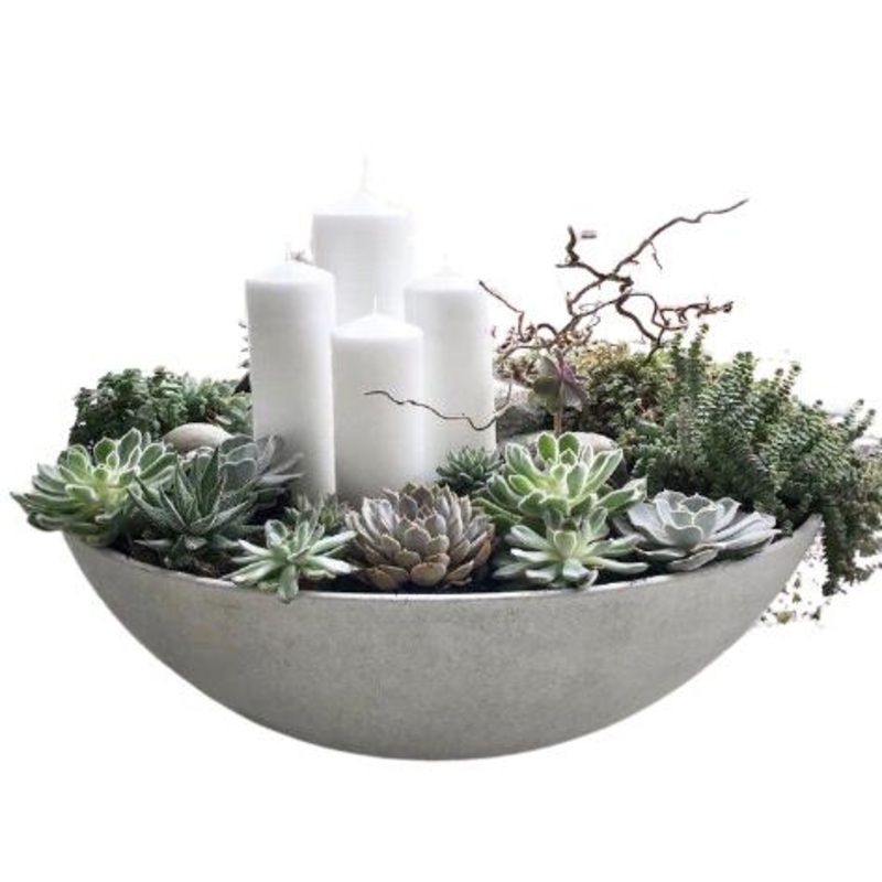 Christmas Succulents Arrangement