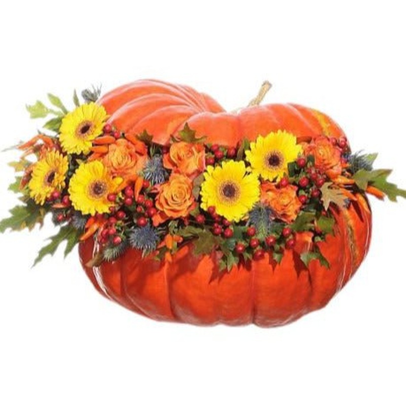 Colorful Magic Pumpkin