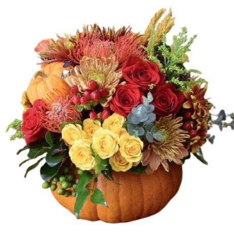 Colorful Pumpkin Arrangement