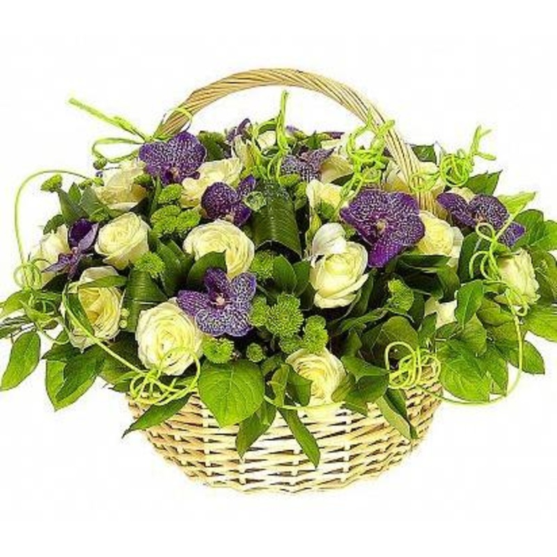 Green Land with Purple Basket-Extra Small (15 stems) & Small (20 stems) & Regular (25 stems) & Medium (30 Stems) & Large (40 Stems) & Extra Large (50 stems) & Luxury (65 Stems) & Glamour (80 stems) & Exclusive Glamour (100 stems) & Premium (120 stems) & P
