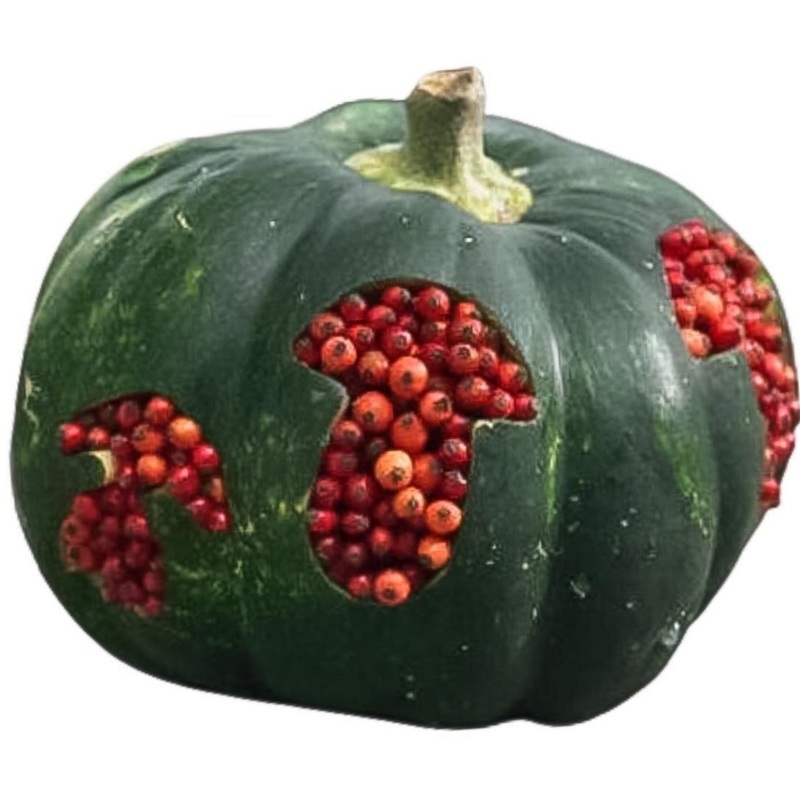 Green Pumpkin with Berry