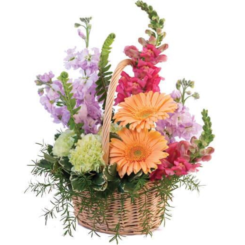 Pleasant Flowers in Basket-Mini (10 stems) & Extra Small (15 stems) & Small (20 stems) & Medium (25 stems) & Regular (30 stems) & Large (40 stems) & Extra Large (55 stems) & Luxury (70 stems) & Glamour (85 stems) & Exclusive Glamour (100 stems) & Premium