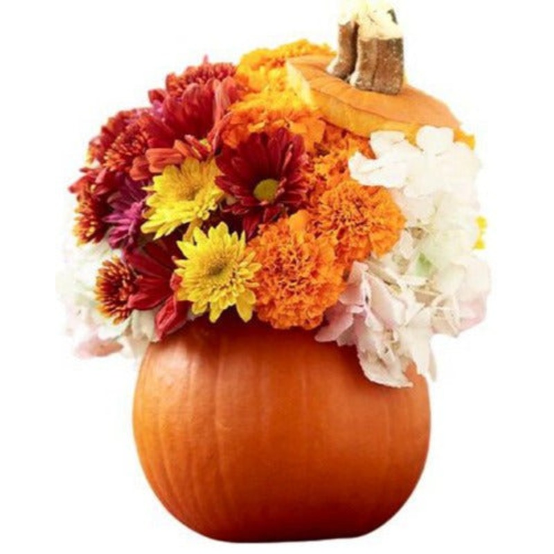Pumpkin with Hydrangea and Chrysanthemu