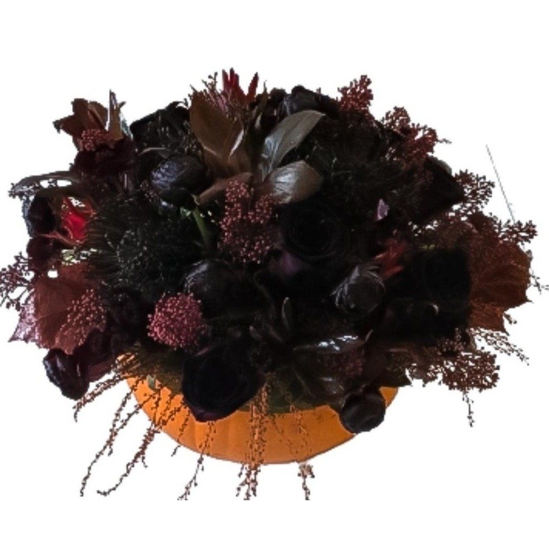Real Black Flower in Orange Pumpkin