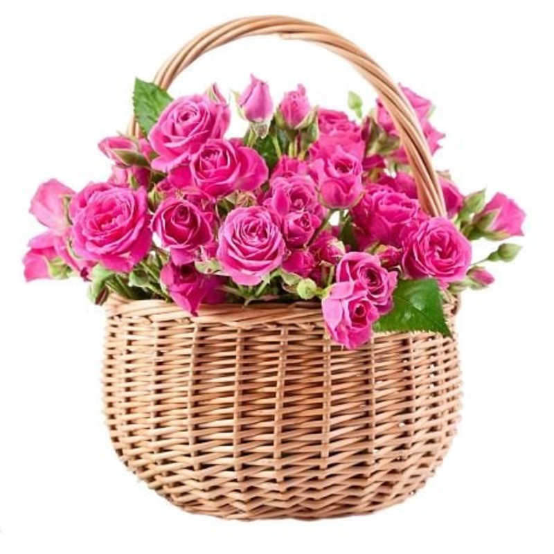 Spray Roses Basket-Mini (5 stems) & Extra Small (10 stems) & Small (15 stems) & Medium (20 stems) & Regular (25 stems) & Large (35 stems) & Extra Large (50 stems) & Luxury (75 stems) & Glamour (100 stems) & Exclusive Glamour (125 stems) & Premium (150 ste