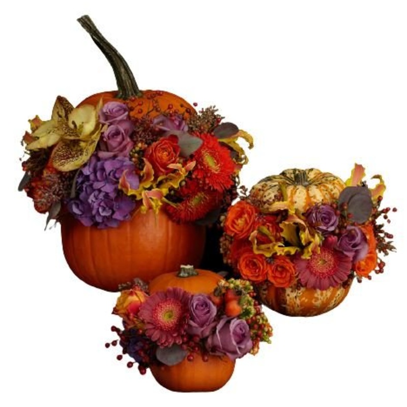 Stunning Set of Three Pumpkin Arrangement