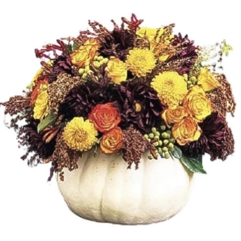 White Pretty Pumpkin