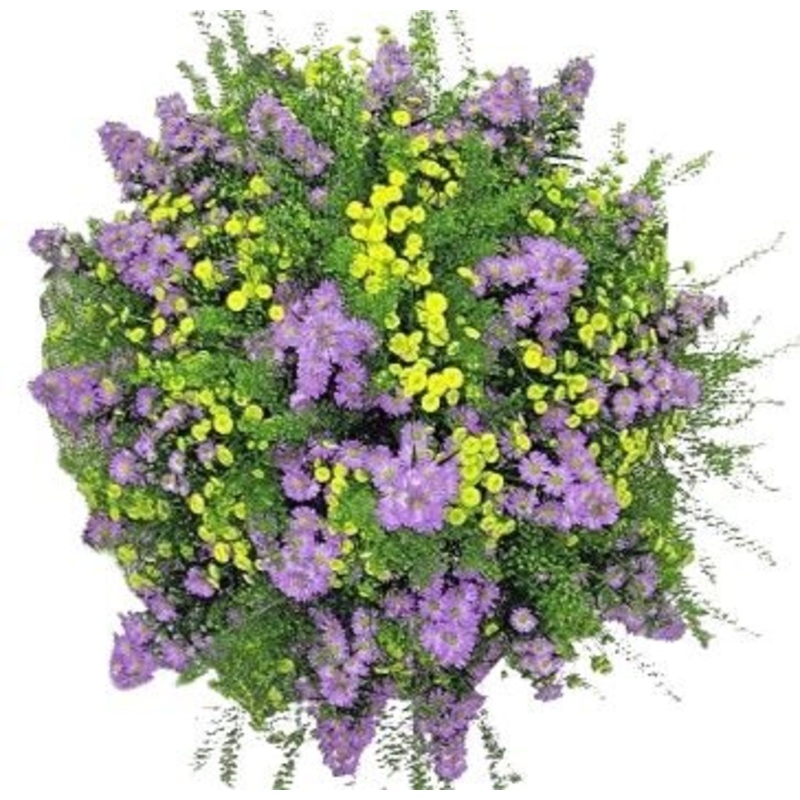 Aster with Tanacetum Bouquet-Small (10 stems) & Medium (15 stems) & Regular (20 stems) & Large (25 stems) & Extra Large (35 stems) & Luxury (45 stems) & Glamour (55 stems) & Exclusive Glamour (70 stems) & Premium (85 stems) & Posh (100 stems)