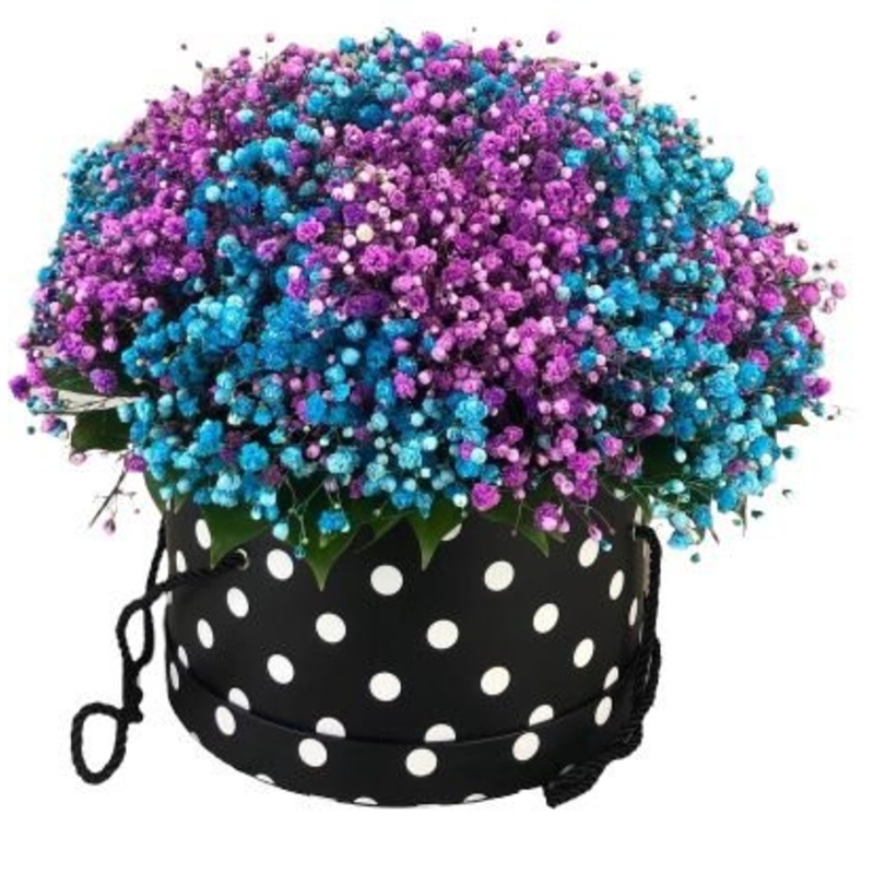 Blue and Purple Baby’s Breath Box