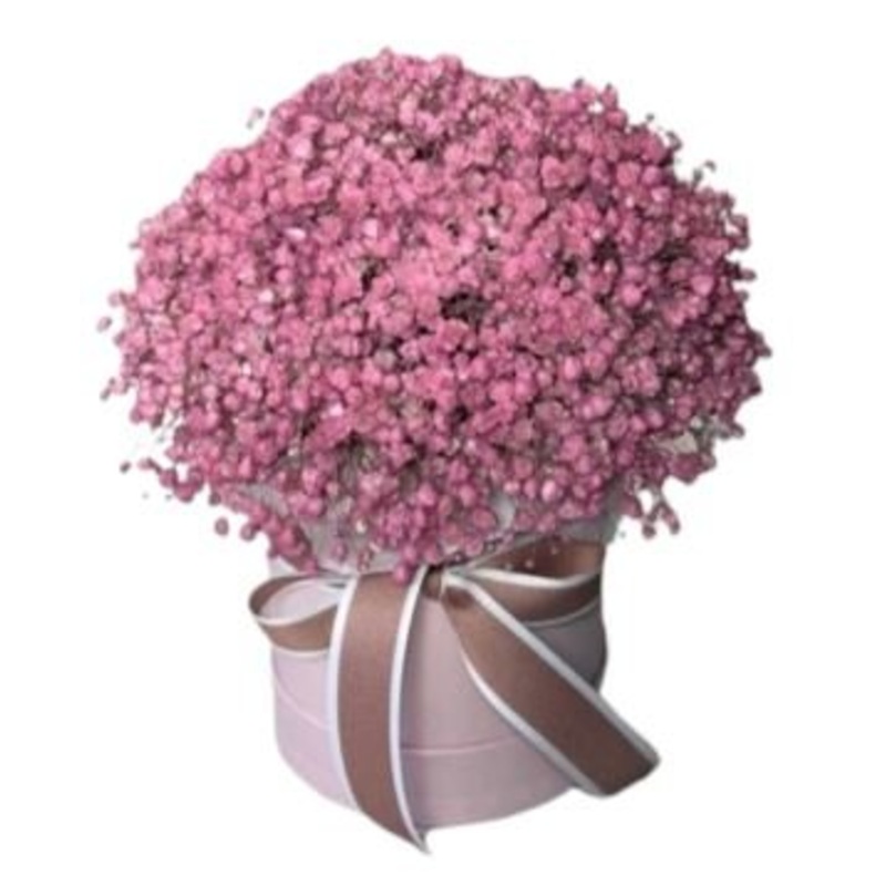 Box with Pink Gypsophila-Extra Small (10 stems) & Small (15 stems) & Medium (20 stems) & Regular (25 stems) & Large (30 stems) & Extra Large (40 stems) & Luxury 60 stems) & Glamour (80 stems) & Exclusive Glamour (100 stems)-Hat & Heart & Square-PINK & CRE