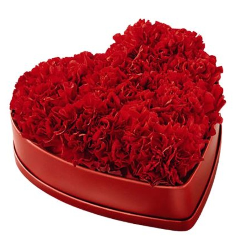 Carnation Heart Box-Extra Small (10 stems) & Small (20 stems) & Regular (30 stems) & Medium (40 stems) & Large (50 stems) & Extra Large (65 stems) & Luxury (80 stems) & Glamour (100 stems) & Exclusive Glamour (120 stems) & Premium (150 stems) & Premium Ex