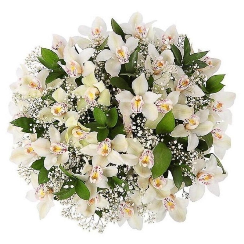Cymbidium Orchid with Gypsophila Bouquet