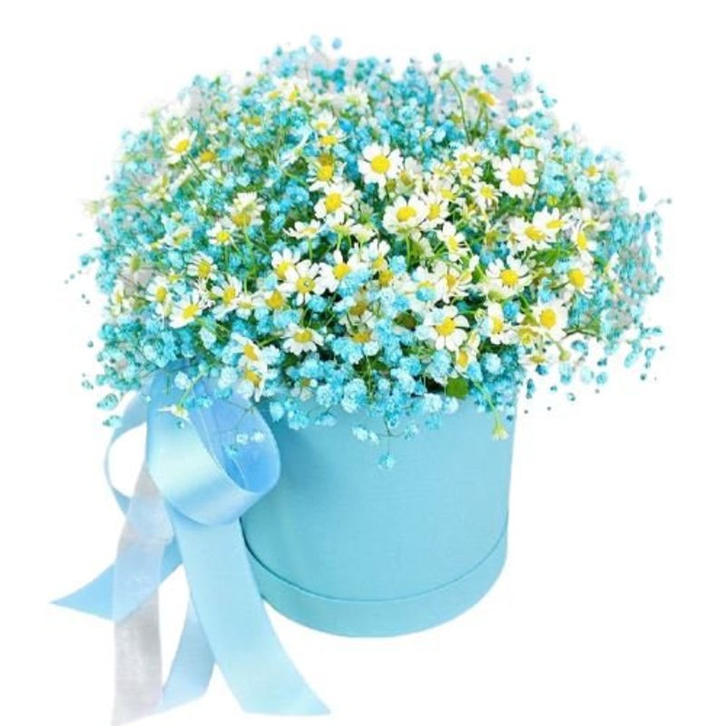 Gypsophila with Daisy Tanacetum in Box