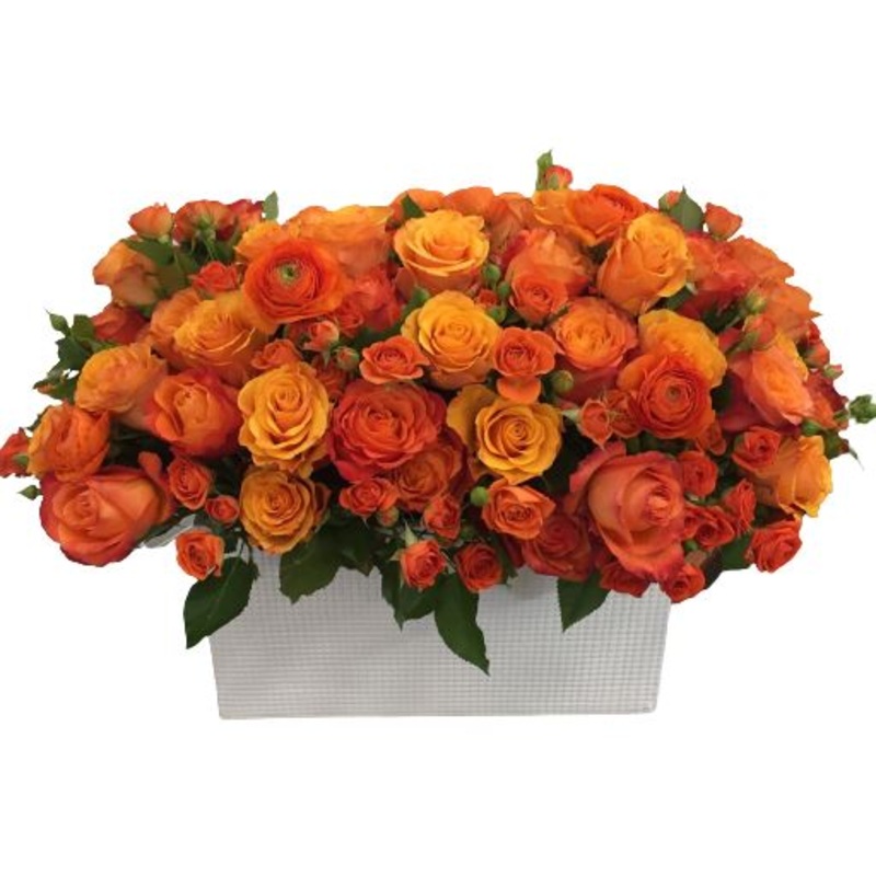Orange Roses Luxury Arrangement in Box