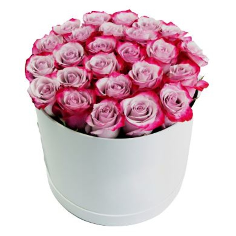 Pink Cherry Roses Box-Small (10 stems) & Regular (20 stems) & Large (30 stems) & Extra Large (40 stems) & Luxury (50 stems) & Glamour (70 stems) & Exclusive Glamour (100 stems) & Premium (120 stems) & Premium Extra (140 stems) & Posh (160 stems) & Deluxe