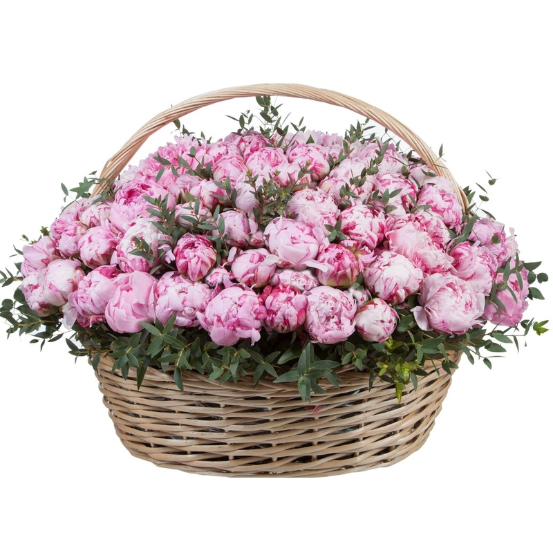Pink Peonies in the Basket-Extra Small (10 stems) & Small (15 stems) & Medium (20 stems) & Large (25 stems) & Extra Large (30 stems) & Deluxe (45 stems) & Luxury (55 stems) & Premium (65 stems) & Glamour (85 stems) & Exclusive Glamour (100 stems) & Premiu