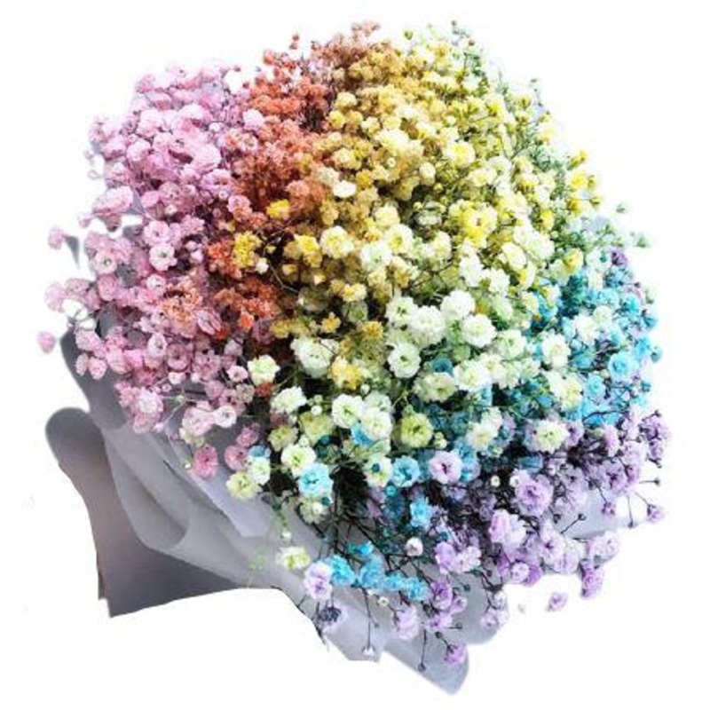 Rainbow Gypsophila Bouquet-Small (7 stems) & Medium (15 stems) & Regular (25 stems) & Standard (35 stems) & Large (45 stems) & Extra Large (50 stems) & Luxury (65 stems) & Glamour (80 stems) & Exclusive Glamour (100 stems) & Premium (130 stems) & Premium