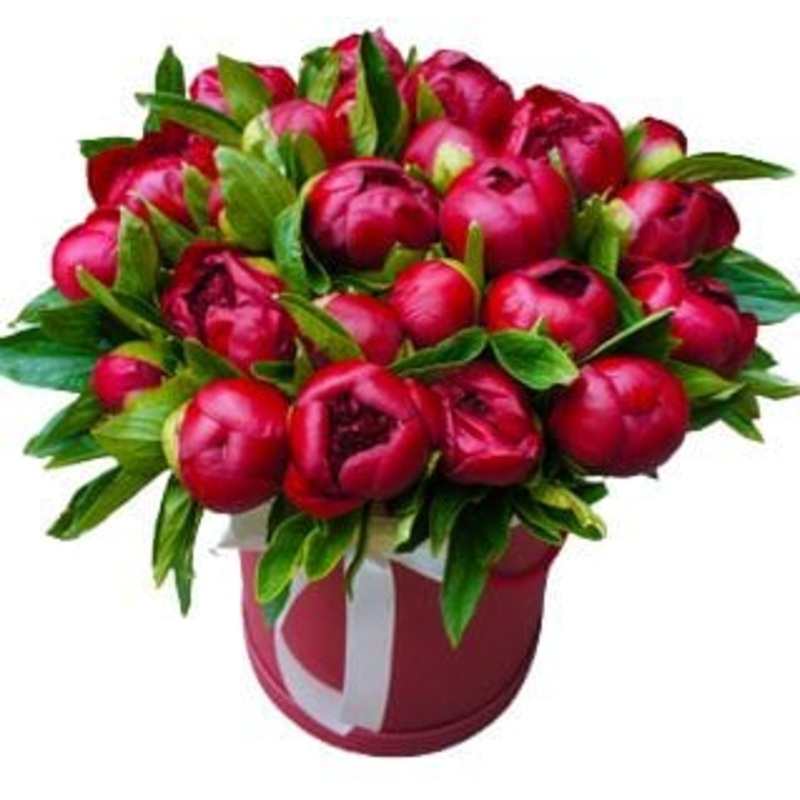 Red Queens Box-Small (5 stems) & Regular (10 stems) & Large (14 stems) & Extra Large (20 stems) & Luxury (24 stems) & Glamour (30 stems) & Exclusive Glamour (35 stems) & Premium (50 stems) & Premium Extra (65 stems) & Posh (80 stems) & Deluxe (100 stems)-