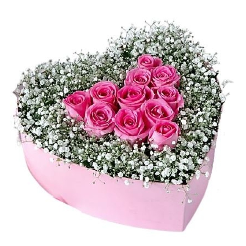 Roses with Baby’s Breath Box-Mini (11 Roses + Gypsophila) & Extra Small (15 Roses + Gypsophila) & Small (25 Roses + Gypsophila) & Regular (32 Roses + Gypsophila) & Medium (40 Roses + Gypsophila) & Large (55 Roses + Gypsophila) & Extra Large (70 Roses + Gy