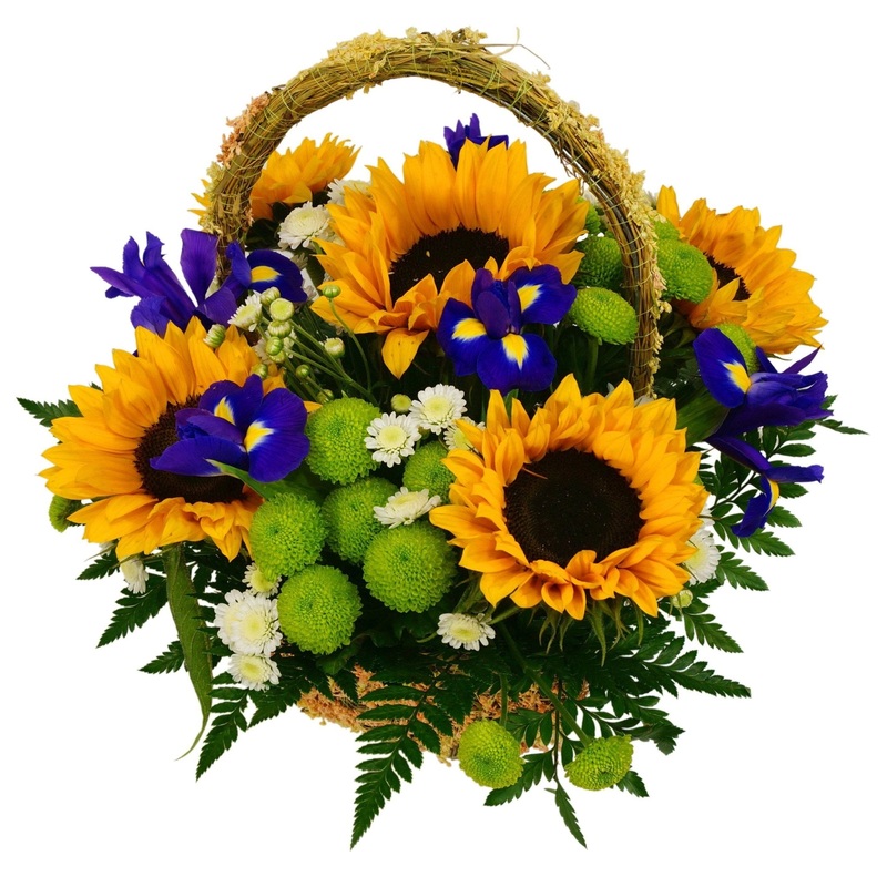 Sunny Basket of Flowers-Small (15 stems) & Medium (25 stems) & Large (35 stems) & Extra Large (45 stems) & Luxury (55 stems) & Glamour (65 stems) & Exclusive Glamour (80 stems) & Premium (100 stems)-Natural (brown) Basket & Cream Basket & Gray Basket