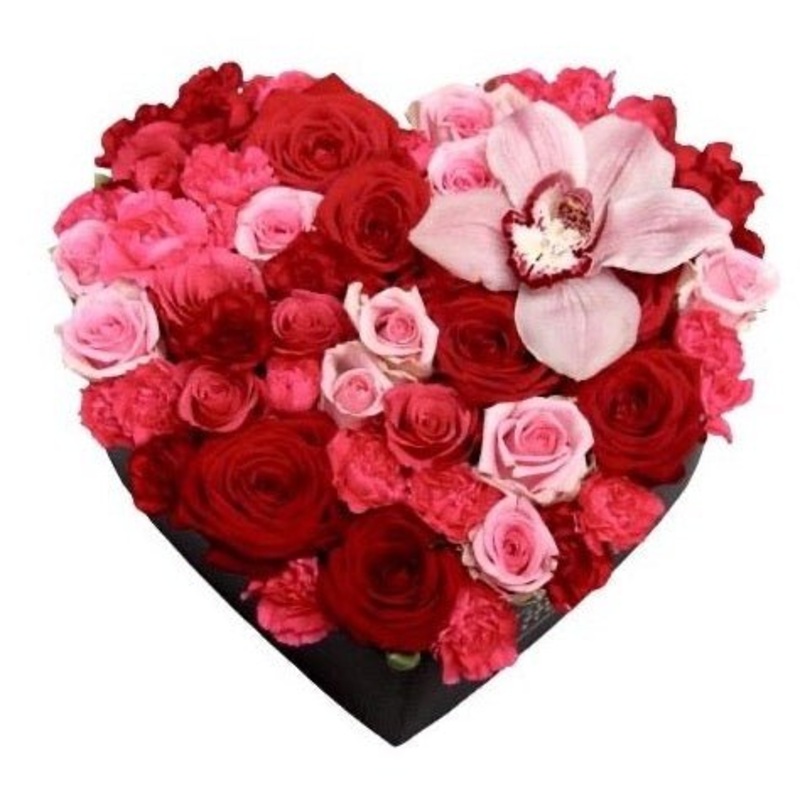 True Love Box-Regular (20 stems) & Large (30 stems) & Extra Large (40 stems) & Luxury (50 stems) & Glamour (60 stems) & Exclusive Glamour (80 stems) & Premium (100 stems)-Heart Box & Hat Box & Square Box-RED BOX & BLACK BOX & PINK BOX & CREAM BOX